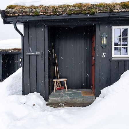 Vila Bitigrenda K Beitostolen Exteriér fotografie